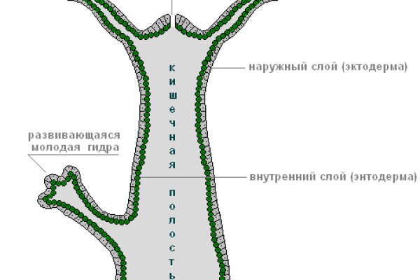 Телеграм канал гашиш